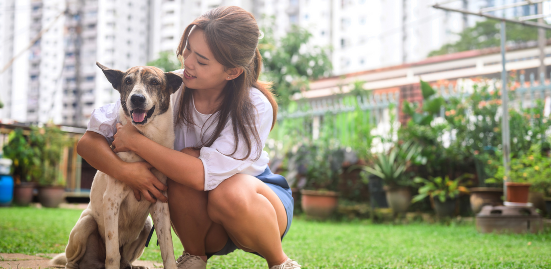 Foods You Should Never Give to Your Dog