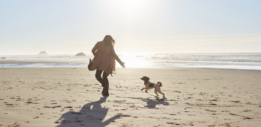 View details for Flying with your dog?