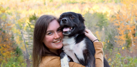 10 Tips for Safe Car Travel With Your Pet