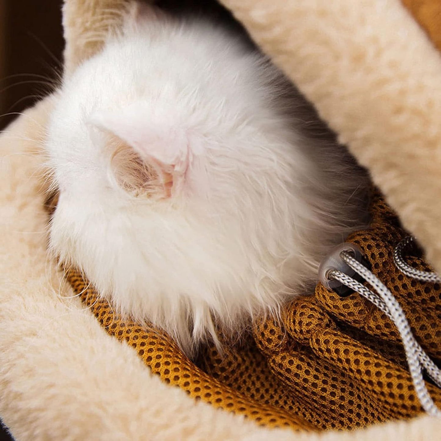 Carrier Bag Backpack Carrier Dog Travel Bag3