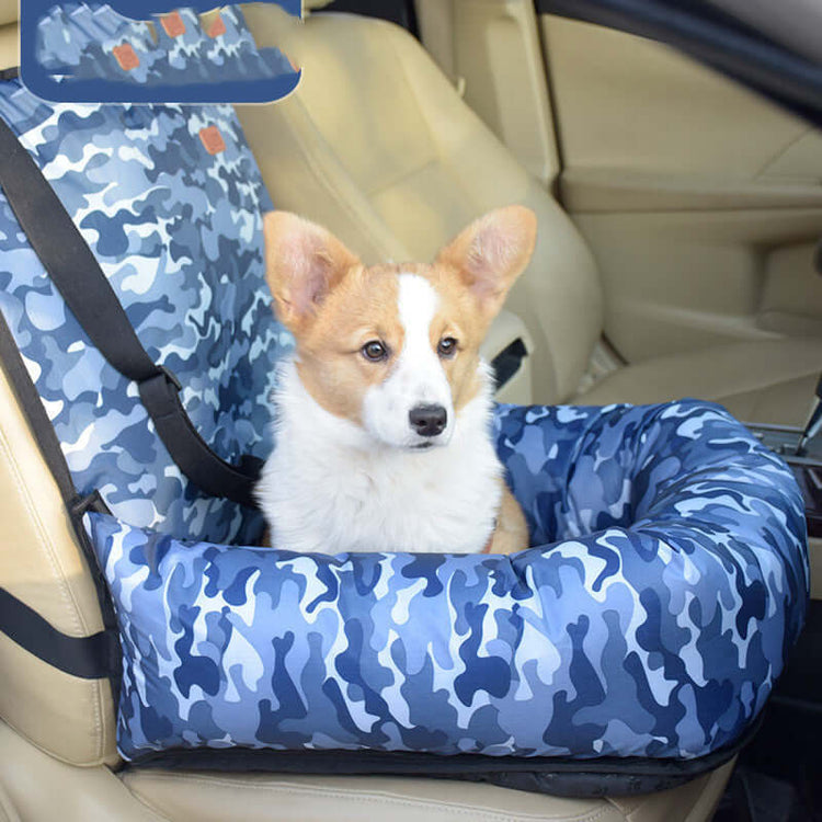 Pet Accessories