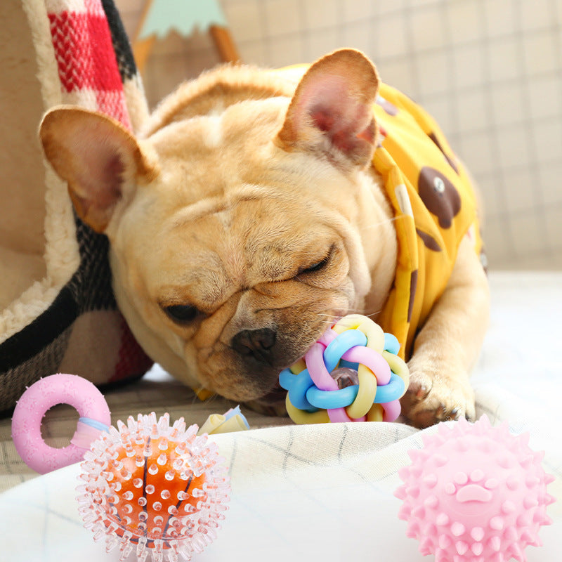 Non-toxic Pet Dog Puppy Training Toy Chew Rubber Toys5