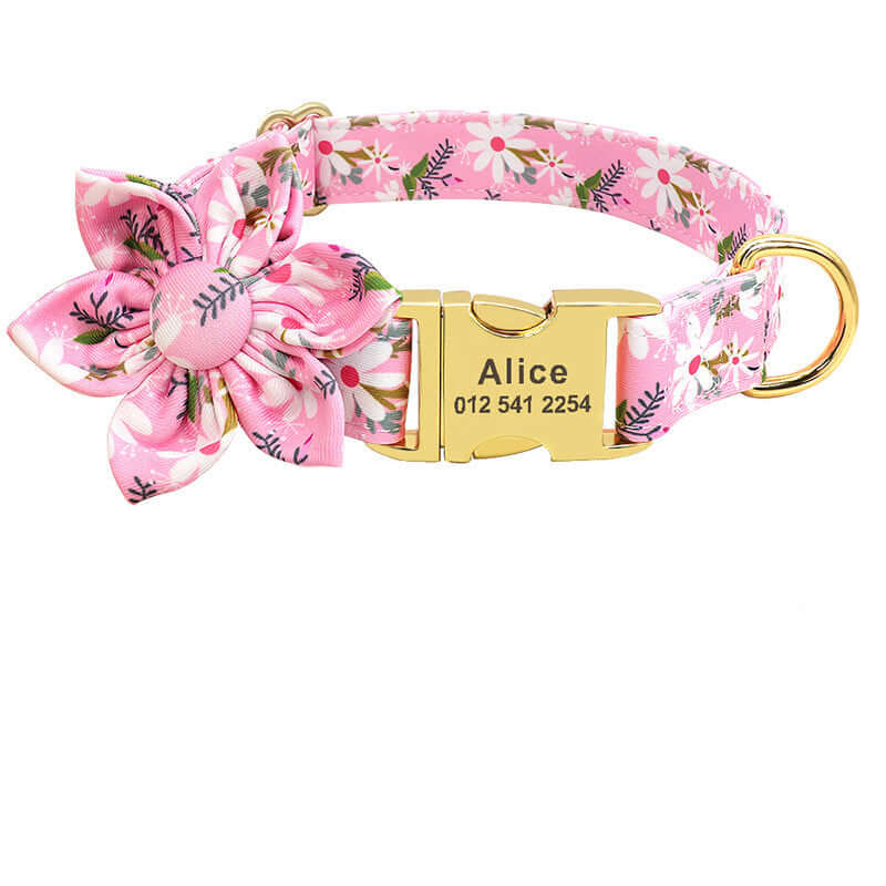 Fashion Printed Dog Collar Personalized Nylon Dog Collar2