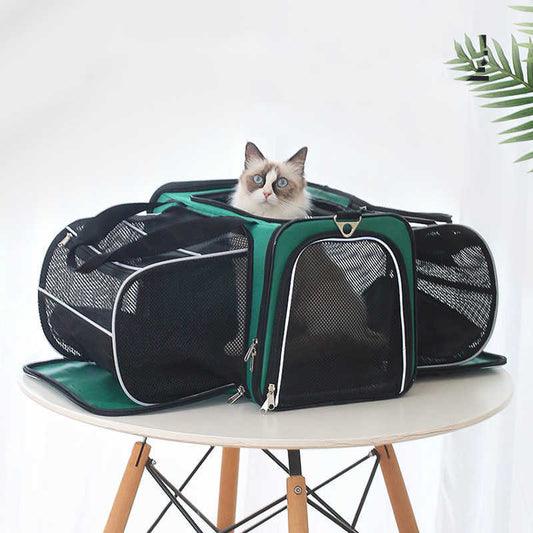 Pets Go Out Backpack Portable Space Capsule1