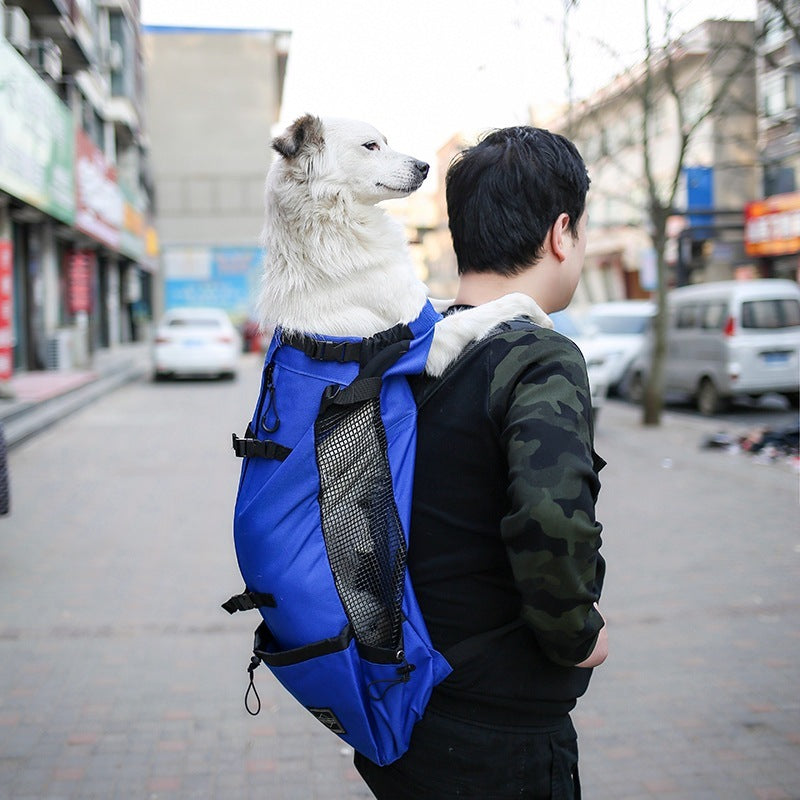 Pet Dog Carrier Bag Carrier For Dogs Backpack5