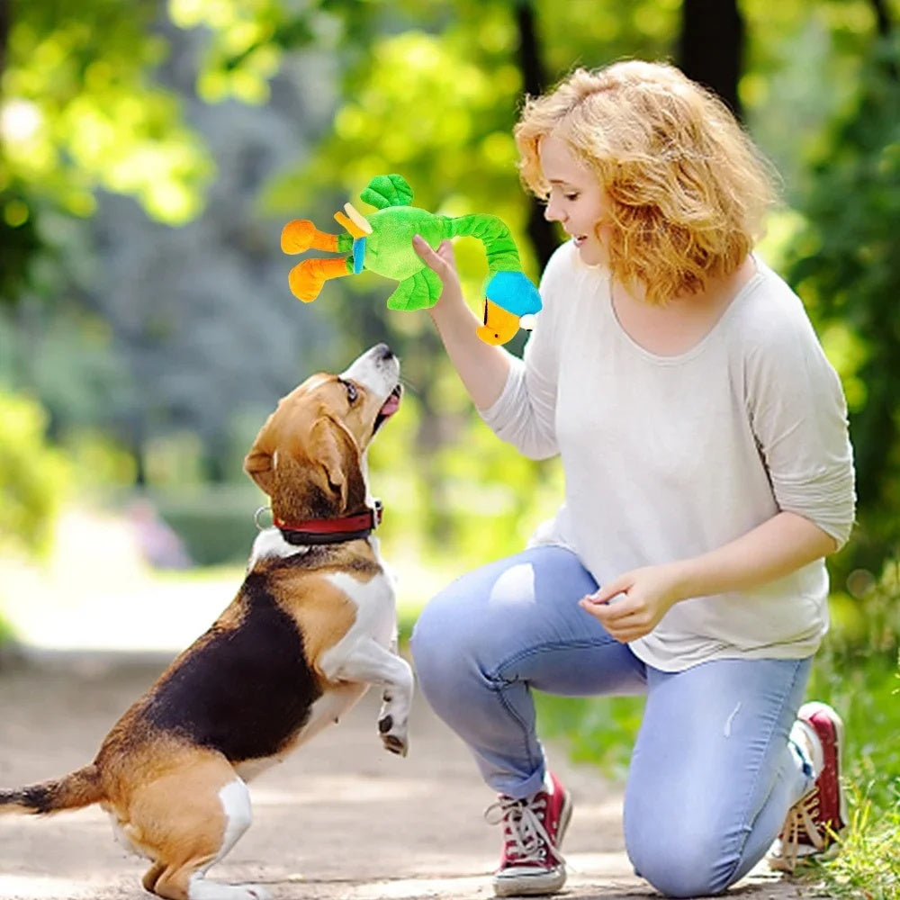Pets Dog Toys Screaming Chicken Sound Toy Puppy Bite4