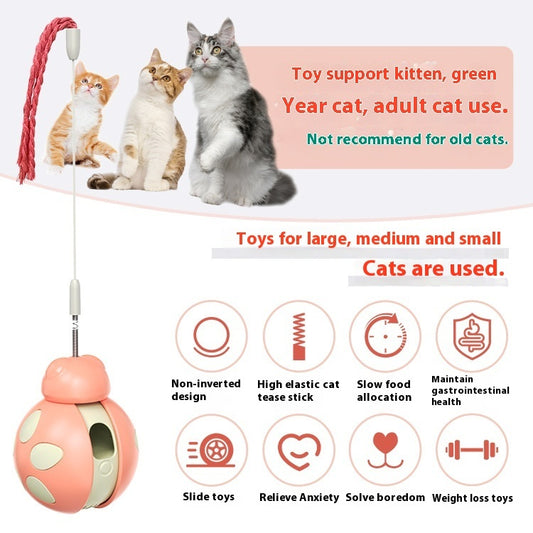 Pets Supplies Toys For Relieving Stuffy And Funny Cat Food Leakage Pet Products2