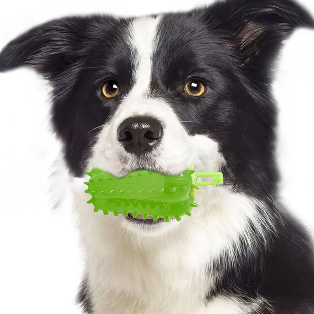 Interactive Dog Teething Chili Chewers Toy Interactive Toys Dog Toys7