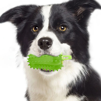 Interactive Dog Teething Chili Chewers Toy Interactive Toys Dog Toys7