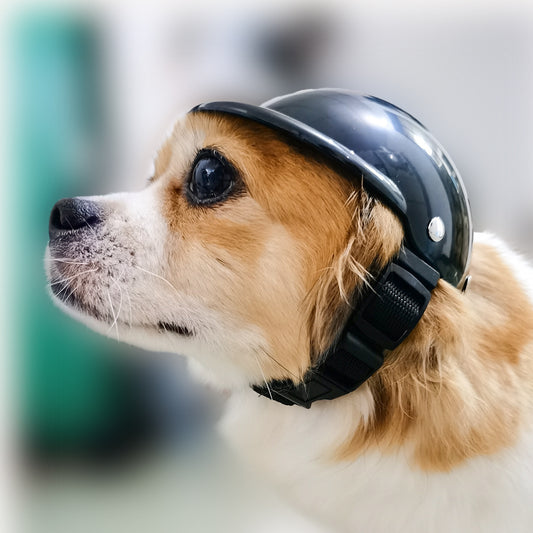Pet Helmet New Motorcycle Helmet1
