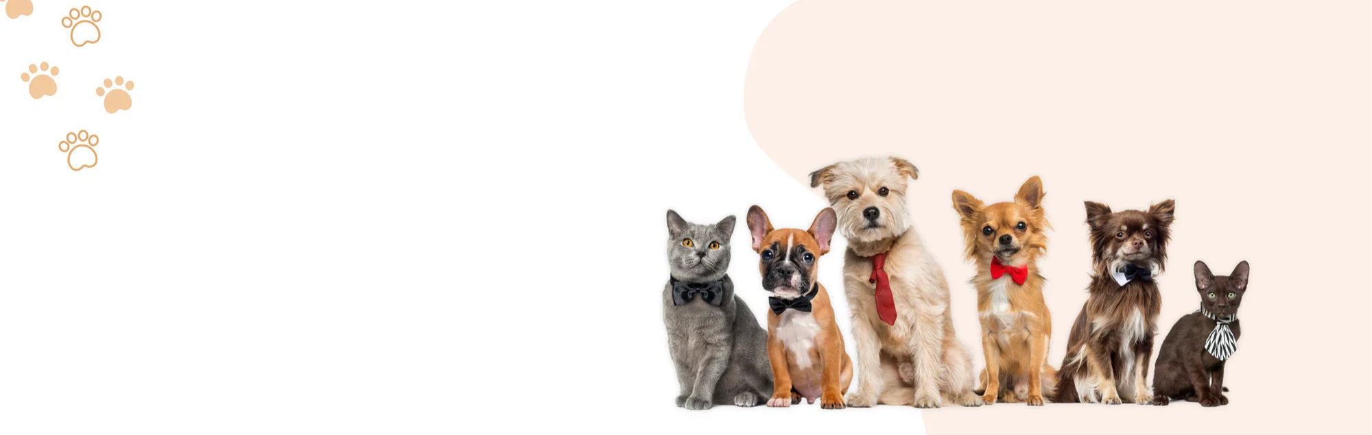 Copy_of_HappiePawsCo_2