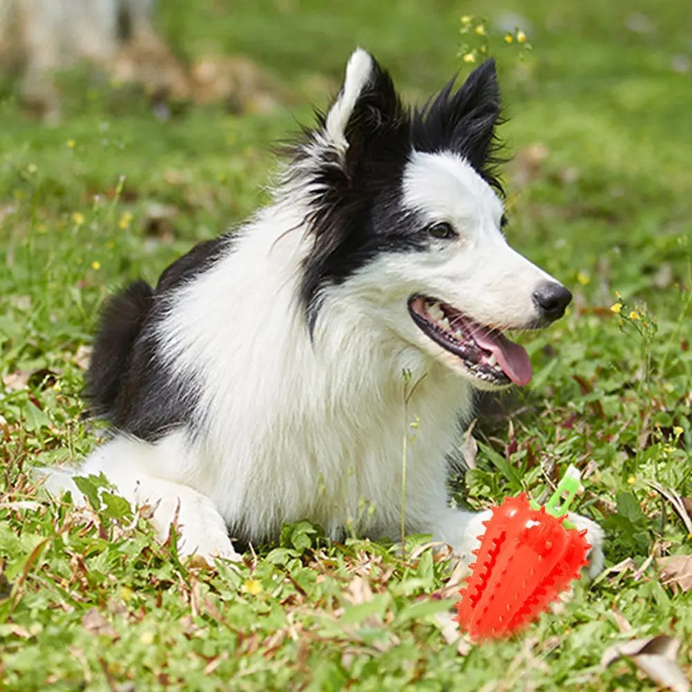 Interactive Dog Teething Chili Chewers Toy Interactive Toys Dog Toys5