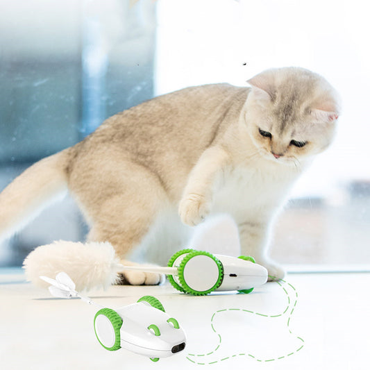 Cat Toys Anti-boring Artifact Automatic Funny Stick1