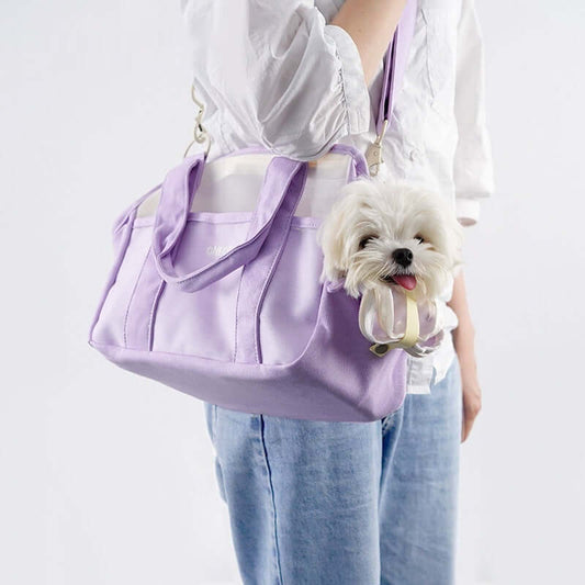 Summer Breathable Mesh Pet Takeaway Bag1